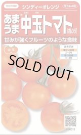 画像: 送料無料　[トマト/中玉トマト]　シンディーオレンジ　13粒　(株)サカタのタネ　実咲550  （002817）
