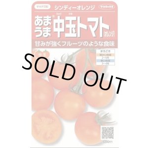 画像: 送料無料　[トマト/中玉トマト]　シンディーオレンジ　13粒　(株)サカタのタネ　実咲550  （002817）