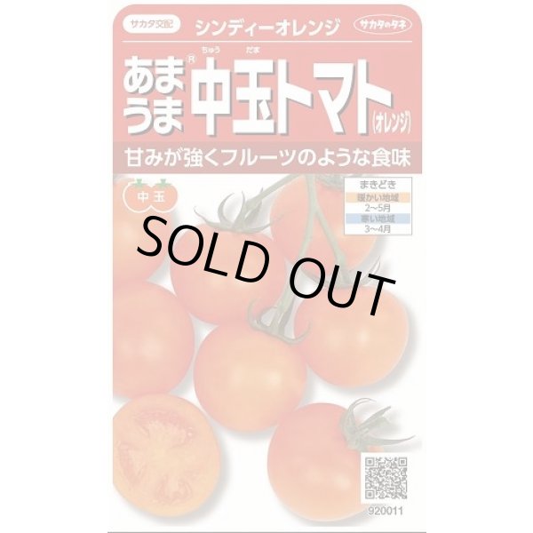 画像1: 送料無料　[トマト/中玉トマト]　シンディーオレンジ　13粒　(株)サカタのタネ　実咲550  （002817） (1)