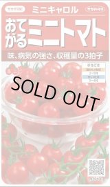 画像: 送料無料　[トマト/ミニトマト]　ミニキャロル　約14粒　(株)サカタのタネ　実咲450（002818）