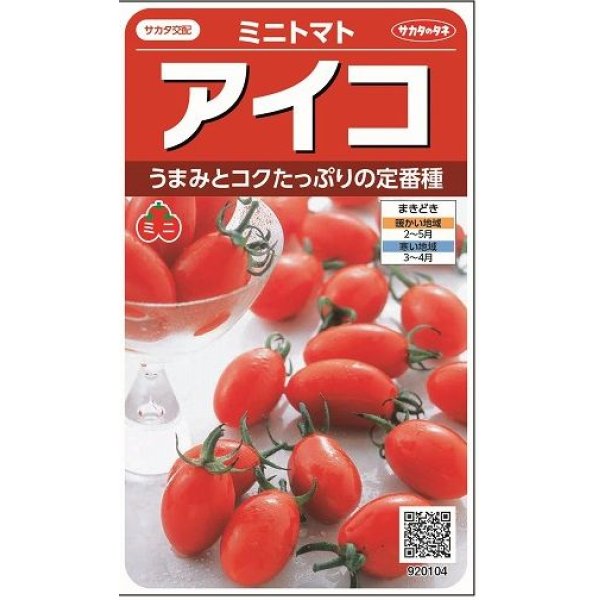 画像1: [トマト/ミニトマト]　アイコ　17粒 　サカタのタネ（株）実咲500 (1)