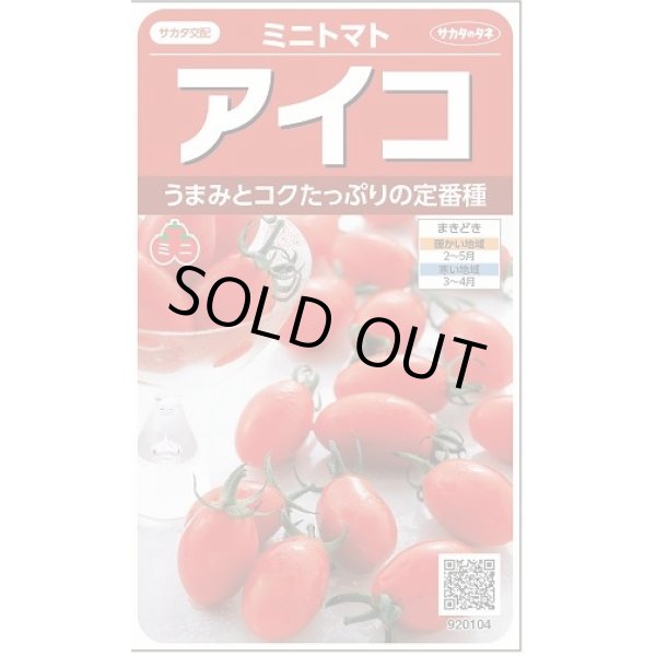 画像1: 送料無料　[トマト/ミニトマト]　アイコ　17粒　(株)サカタのタネ実咲550（002821） (1)