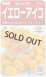 画像: 送料無料　[トマト/ミニトマト]　イエローアイコ　13粒　(株)サカタのタネ実咲550（002823）
