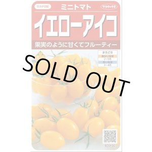 画像: 送料無料　[トマト/ミニトマト]　イエローアイコ　13粒　(株)サカタのタネ実咲550（002823）