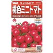 画像1: 送料無料　[トマト/ミニトマト]　キャロルロゼ(すずなりピンク)13粒　(株)サカタのタネ実咲550（002825） (1)