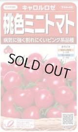 画像: 送料無料　[トマト/ミニトマト]　キャロルロゼ(すずなりピンク)13粒　(株)サカタのタネ実咲550（002825）