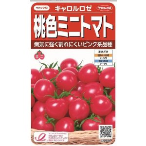 画像: 送料無料　[トマト/ミニトマト]　キャロルロゼ(すずなりピンク)13粒　(株)サカタのタネ実咲550（002825）