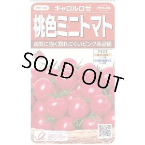 画像: 送料無料　[トマト/ミニトマト]　キャロルロゼ(すずなりピンク)13粒　(株)サカタのタネ実咲550（002825）