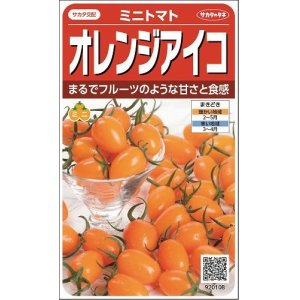 画像: [トマト/ミニトマト]　オレンジアイコ　13粒 　サカタのタネ（株）実咲500