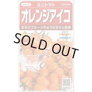 画像: 送料無料　[トマト/ミニトマト]　オレンジアイコ　13粒　(株)サカタのタネ　実咲550 （002827）