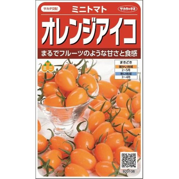 画像1: [トマト/ミニトマト]　オレンジアイコ　13粒 　サカタのタネ（株）実咲500 (1)