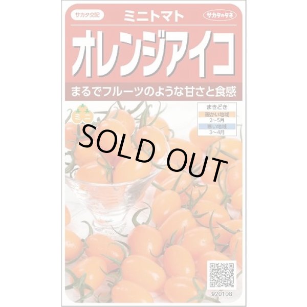 画像1: 送料無料　[トマト/ミニトマト]　オレンジアイコ　13粒　(株)サカタのタネ　実咲550 （002827） (1)