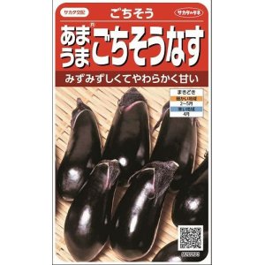 画像: [なす]　ごちそうなす　小袋　サカタのタネ（株）実咲500