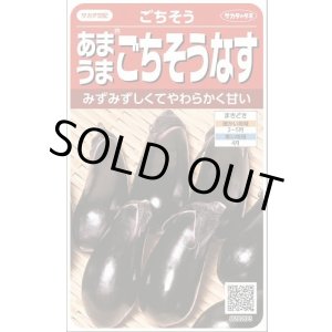 画像: 送料無料　[なす]　ごちそうなす約50粒　(株)サカタのタネ　 実咲550（002834）