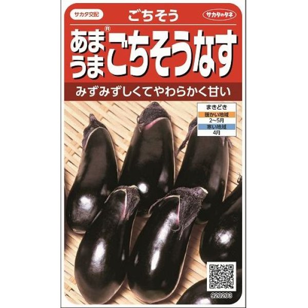 画像1: [なす]　ごちそうなす　小袋　サカタのタネ（株）実咲500 (1)