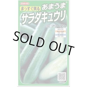 画像: 送料無料　[キュウリ]　フリーダム　18粒　　(株)サカタのタネ実咲（002844）