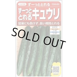 画像: 送料無料　[キュウリ]　ずーっととれる　約16粒　(株)サカタのタネ　実咲550（002847）