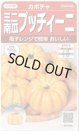 画像: 送料無料　[かぼちゃ]　プッチィーニ　7粒　(株)サカタのタネ　実咲450（002870）