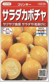 画像: 送料無料　[かぼちゃ]　コリンキー　約10粒　(株)サカタのタネ　実咲450（002879）