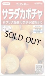 画像: 送料無料　[かぼちゃ]　コリンキー　約10粒　(株)サカタのタネ　実咲450（002879）