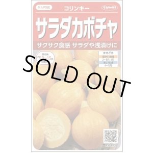 画像: 送料無料　[かぼちゃ]　コリンキー　約10粒　(株)サカタのタネ　実咲450（002879）