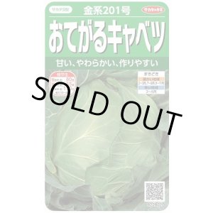 画像: 送料無料　[キャベツ]　金系201号　約65粒　(株)サカタのタネ　実咲450（002912）