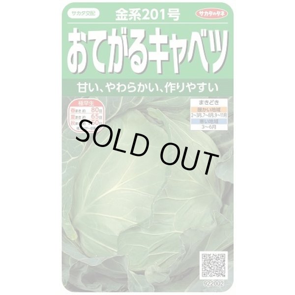 画像1: 送料無料　[キャベツ]　金系201号　約65粒　(株)サカタのタネ　実咲450（002912） (1)