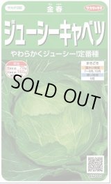 画像: 送料無料　[キャベツ]　金春　約65粒　(株)サカタのタネ　実咲450（002913）