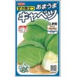 画像1: [キャベツ]　新藍　約65粒　サカタ交配　　実咲 (1)