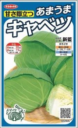 画像: 送料無料　[キャベツ]　新藍　約65粒　(株)サカタのタネ　実咲450（002914）