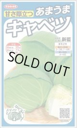 画像: 送料無料　[キャベツ]　新藍　約65粒　(株)サカタのタネ　実咲450（002914）