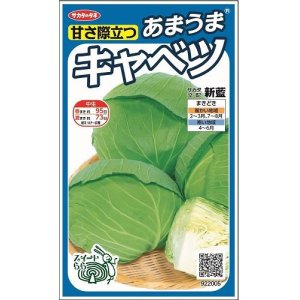 画像: [キャベツ]　新藍　約65粒　サカタ交配　　実咲