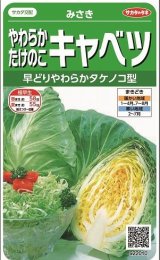 画像: 送料無料　[キャベツ]　みさき　約75粒　(株)サカタのタネ　実咲450（002917）
