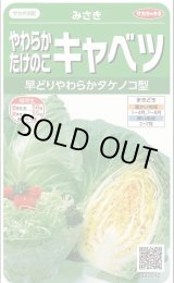 画像: 送料無料　[キャベツ]　みさき　約75粒　(株)サカタのタネ　実咲450（002917）