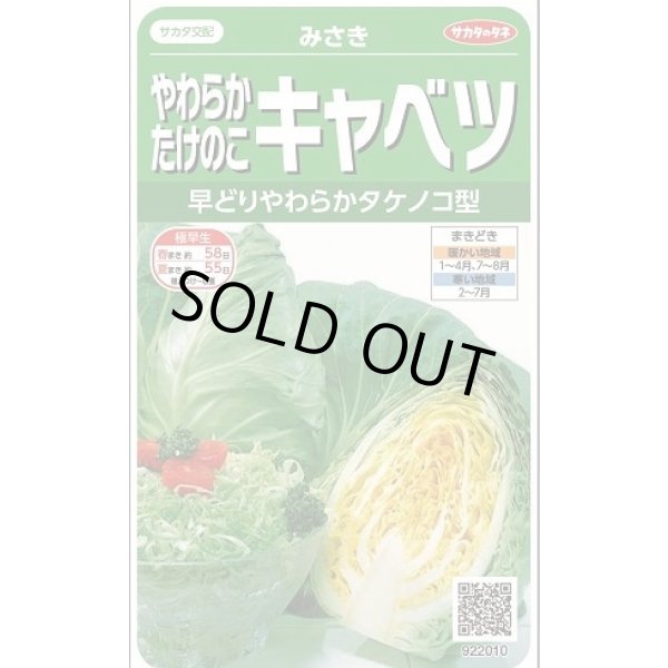 画像1: 送料無料　[キャベツ]　みさき　約75粒　(株)サカタのタネ　実咲450（002917） (1)