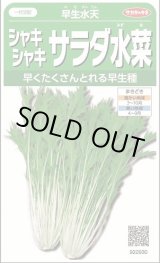 画像: 送料無料　みず菜　早生水天　約1200粒　(株)サカタのタネ　実咲350（002964）