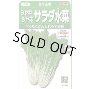 画像: 送料無料　みず菜　早生水天　約1200粒　(株)サカタのタネ　実咲350（002964）
