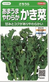画像: 送料無料　かき菜　さちうら　約800粒　(株)サカタのタネ　実咲350（002967）
