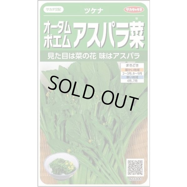 画像1: 送料無料　オータムポエム　約260粒　(株)サカタのタネ　実咲450（002990） (1)