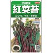 画像1: [中国野菜]　　紅菜苔　約1410粒　サカタのタネ（株）　実咲200 (1)