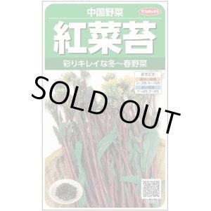 画像: [中国野菜]　　紅菜苔　約1410粒　サカタのタネ（株）　実咲200