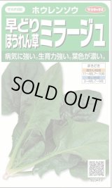 画像: 送料無料　[ほうれんそう]　ミラージュ　約750粒　(株)サカタのタネ　実咲250（003007）