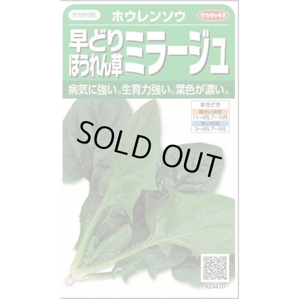 画像1: 送料無料　[ほうれんそう]　ミラージュ　約750粒　(株)サカタのタネ　実咲250（003007） (1)
