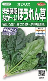 画像: 送料無料　[ほうれんそう]　オシリス　約900粒　(株)サカタのタネ　実咲350（003011）