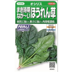 画像: 送料無料　[ほうれんそう]　オシリス　約900粒　(株)サカタのタネ　実咲350（003011）