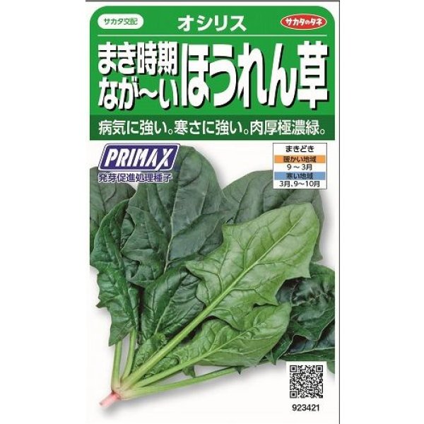 画像1: 送料無料　[ほうれんそう]　オシリス　約900粒　(株)サカタのタネ　実咲350（003011） (1)
