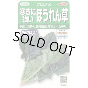 画像: [ほうれんそう]　クロノス　約900粒　サカタのタネ（株）　実咲300