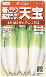 画像: 送料無料　[大根]　天宝　約130粒　(株)サカタのタネ　実咲450（003064）