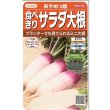 画像1: 送料無料　[大根]　ミニダイコン　あやめっ娘　約130粒　(株)サカタのタネ　実咲450（003075） (1)