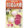 画像1: 送料無料　[大根]　天安紅心2号　約400粒 　(株)サカタのタネ　実咲450（003089） (1)